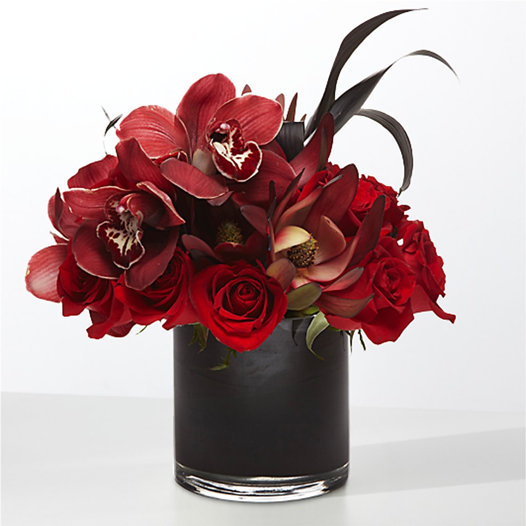 The Eclipse –  Perfect Petal, Chalmette LA